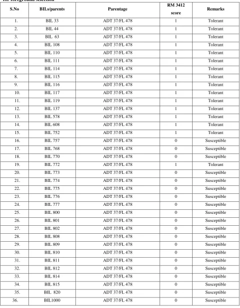 Table 1. Genotypic performances of Backcross inbred lines (BILs) and parents against SSR marker RM 3412 for foreground selection 