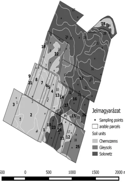 Fig. 1. Arable plots (boldface numbers) and homogeneous soil units (small normal numbers) on the research site.