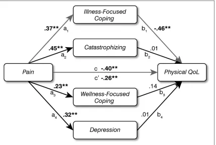 Fig. 2. Multiple Mediation Model for Mental Quality of Life. Standardized regression coefficients (β) for the relationship between pain and mental quality of life, as mediated by psychosocial variables
