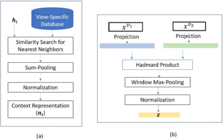 Figure 2. (a) The proposed view-specific context representation scheme.