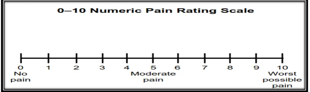 Figure 1: Elastomeric separators