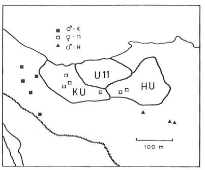 Figure 3.2 Sightings in winter 1978 of three banded warblers (d-K, 9-11 I d-H), in relation 