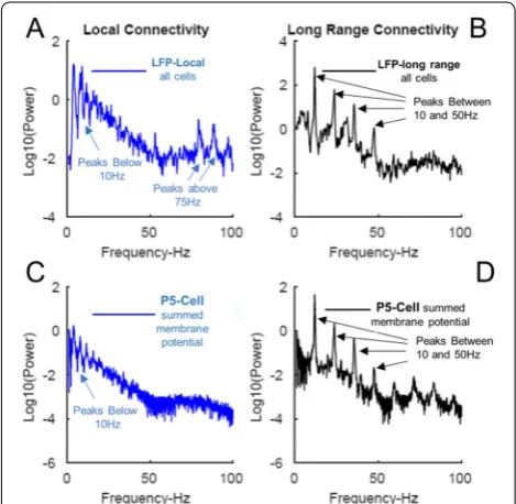 Figure 1. A. LFP power spectrum from model with no long range connections exhibits no strong peaks