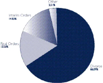 Figure 10: Family law applications by type, filed in the Federal Magistrates Court in 2004-05