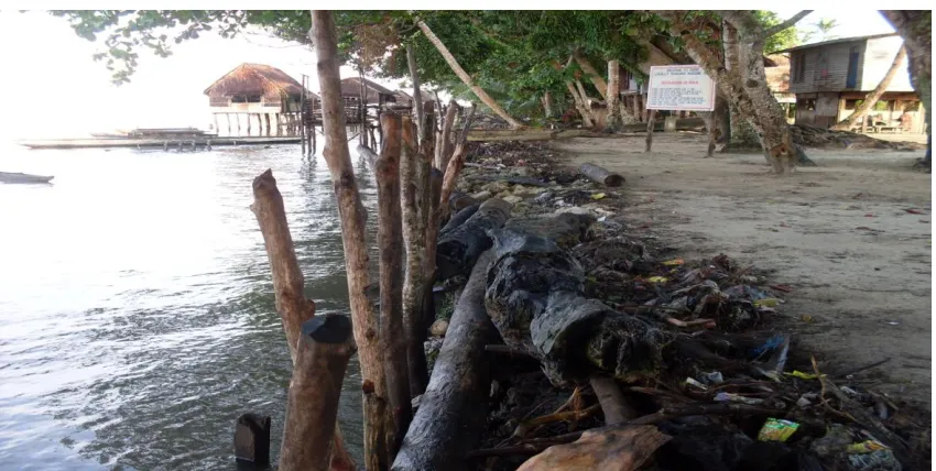 Figure 5-3. An example of a seawall built of local materials to prevent shoreline erosion that threatens the Pere village setting (source: author, July 2011)