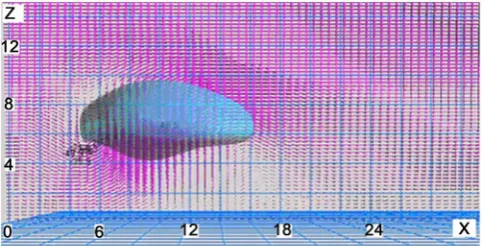 Figure 1. Velocity field of air flow in the vertical plane (XZ) passing through the cloud