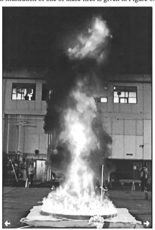 Figure 6.4: Hawaii hanger test fire using JP4 jet fuel in a 2 metre diameter pan (Gott et 