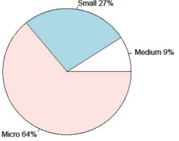 Figure 1 Individual segments in SMEs 