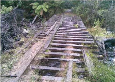 Fig. 1: An example of  a bridge that suffered  both fire and flood  damage.