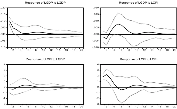 Figure 4. Impulse Response Function