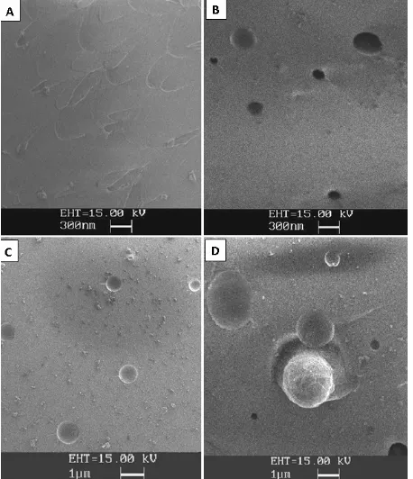 Figure 2. SEM micrograph of (A) 0.3% (B) 0.7% (C) 1.0% (D) 2.0% HTPB modified cured epoxy-amine system