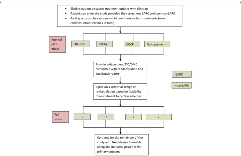 Fig. 1 Study design incorporating flexible entry in an internal pilot phase and possible adaptation for substantive trial phase