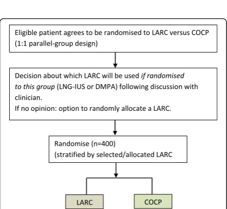 Fig. 2 Randomisation options chosen