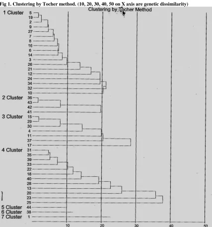 Fig 1. Clustering by Tocher method. (10, 20, 30, 40, 50 on X axis are genetic dissimilarity) 
