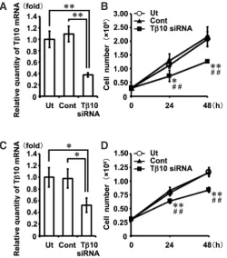 Fig. 2 A,B). The Tb10 expression level in the mDP cells was higher 