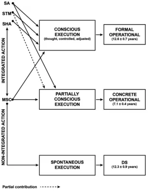 Figure 1. Schematic representation of relationships between development stages, motor skills coordination and executive function