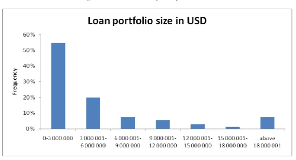 Figure 4-1: MFIs sorted by loan portfolio size 