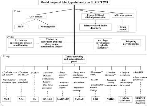 FIG 10.Proposed approach to the diagnosis of LE and its mimic disorders. SCLC indicates small cell lung carcinoma; SIADA, syndrome ofciated with autoimmune thyroiditis; AMPAR,inappropriate antidiuretic hormone; TPO, thyroperoxidase; NMDA, N-methyl-D-aspartate; STREAT, steroid-responsive encephalopathy asso- �-amino-3-hydroxy-5-methyl-4-isoxazolepropionic acid receptor.