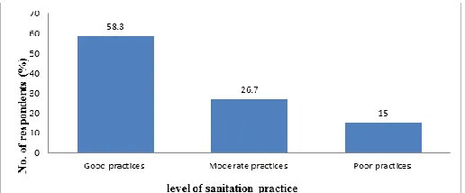 Figure 1. Respondent’s sanitation practices   