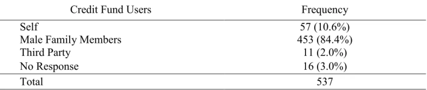 Table VI: Users of Credits Borrowed by Women Clients 