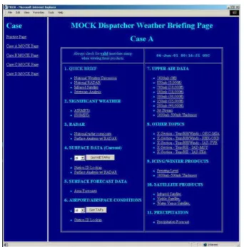 Figure 2. MOCK Weather Information Briefing Page. 