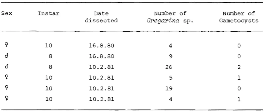 Table 6.1 The number of trophozoites and gametocysts of Gregarina sp. 