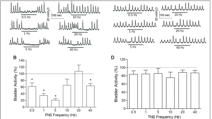 Fig. 1. P79.