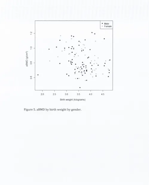 Figure 5. aBMD by birth weight by gender.