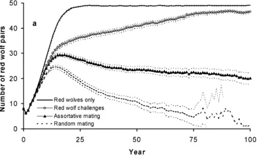 Figure 1. Mean numbers of red wolf pairs in extant wolf populations over time when coyotes are not present, there is random mating, there is weak assortative mating between red wolves and hybrids, and there is weak assortative mating with red wolf challeng