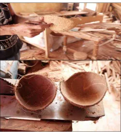 Fig. 2   Characteristic of wood coconut waste 
