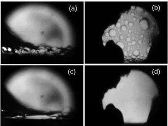 Figure 5. Typical dry spot images recorded during the previous HYLDE experiment [15]. (a) Separate circular spots regime far from the critical point (at 75 mK to the critical point)