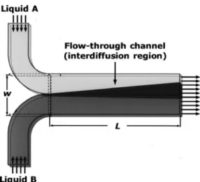 Fig. 1 T-shaped micromixer with two input fluids, each containing one diffusing species