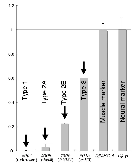 Fig. 4. Confirmation of expression levels of several types of genes by qPCR. 1 on the Y axis indicates relative expression level in intact planarians.