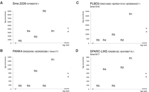 Fig. 9. Transcript size variants upregulated following irradiation. Examples of non-canonical tags increased in IR versus N that suggest the induction of shorter transcripts or variants in irradiated animals