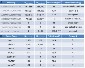 Fig. 3. Abundant tags, high fold-changes and known genes in the N and IR libraries. (A)Highest occurrences (occ) and fold-changes between N and IR
