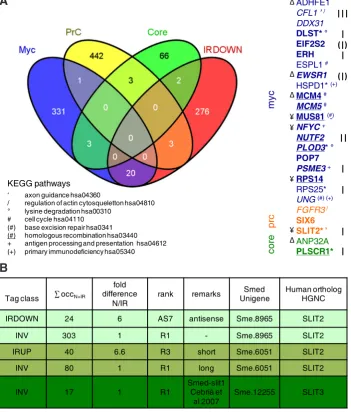 Fig. 6. Genes shared between the planarian IRDOWN list and the human ES transcriptional modules