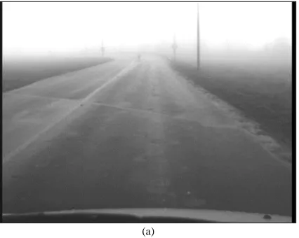 Fig. 2. Input (a), Dark Channel Prior Method (b), Maximising the Contrast Method (c) and Maximising Atmospheric Light Veil method (d)  