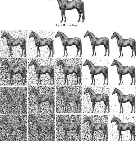 Fig. 5: Original Image  