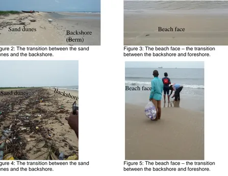 Figure 4: The transition between the sand dunes and the backshore.  