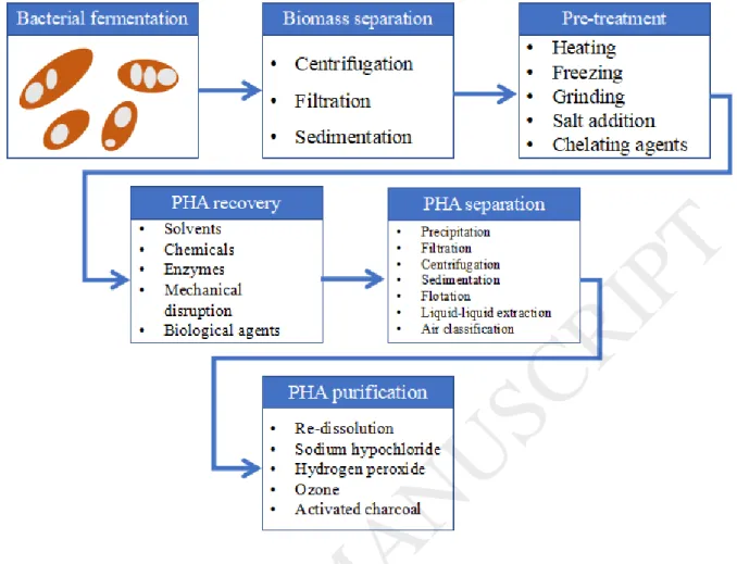 Figure 1: Conventional stages involved in the recovery of PHA from bacterial fermentation and most common  methods for each stage