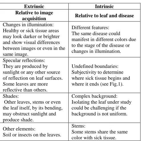 TABLE  CHALLENGES IN AUTOMATIC I SEGMENTATION OF DISEASED AREAS