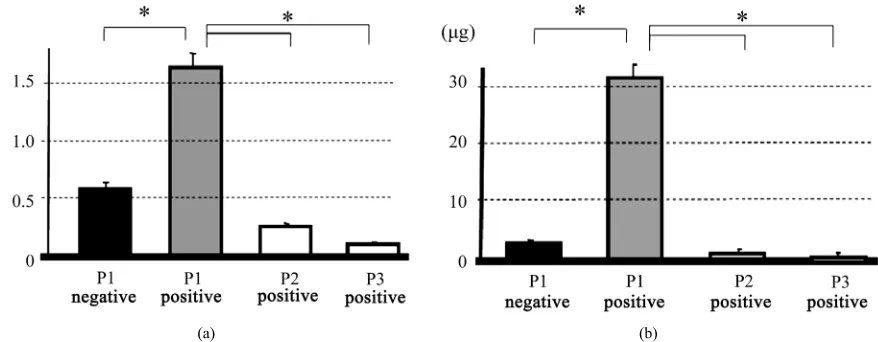 Figure 2. ALP activity (a) and calcium deposition (b), standardized to DNA content. P1 and P2 represent the passage of cells