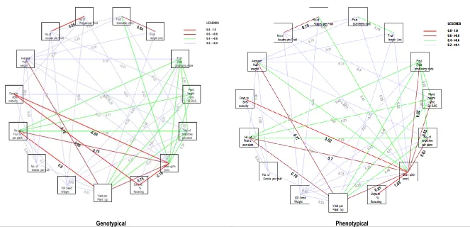 Fig. 2. Pictorial representation of Genotypical vs Phenotypical correlation among fruit yield and its component characters in okra 