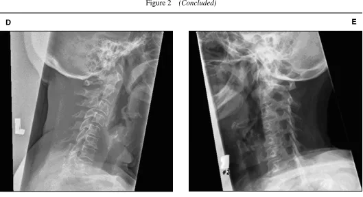 Figure 2 (Concluded)