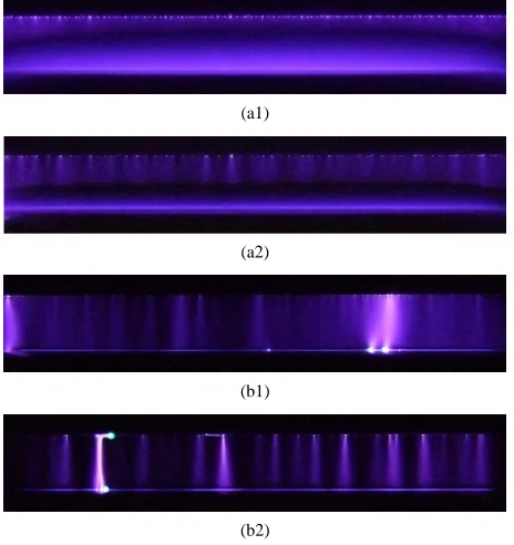 Figure 2. Pulsed discharge images with different pulse rise- times at different air pressures ((a1) 20 ns/6 kPa; (a2) 200 ns/6 kPa; (b1) 20 ns/15 kPa; (b2) 200 ns/15 kPa)