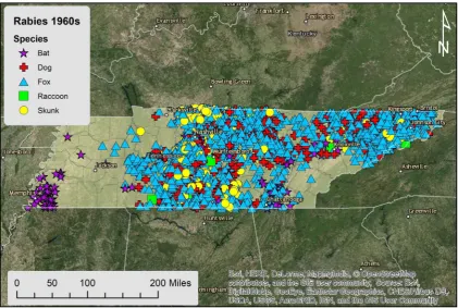 Figure 15. Throughout the 1950s, dogs accounted for 1327 out of 2456 rabies reports total, indicating a rabies decline for that species, while reports for foxes grew to 633