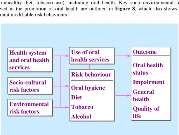 Figure 8  The risk-factor approach in the promotion of oral health. 