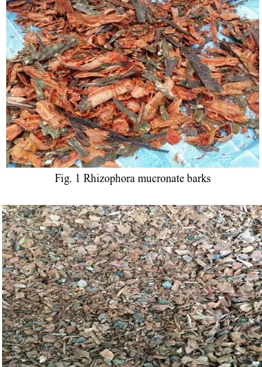 Fig. 1 Rhizophora mucronate barks 