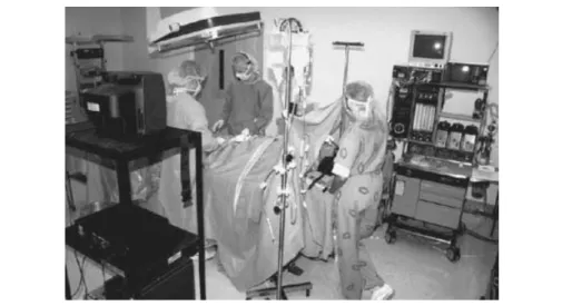 FIGURE 1: ACRM Simulation Scenario in Action