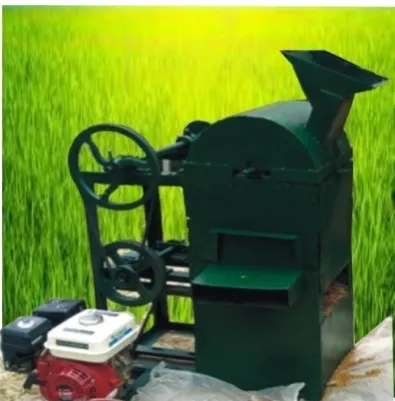 Figure 1: Developed ginger rhizomes peeling machine 